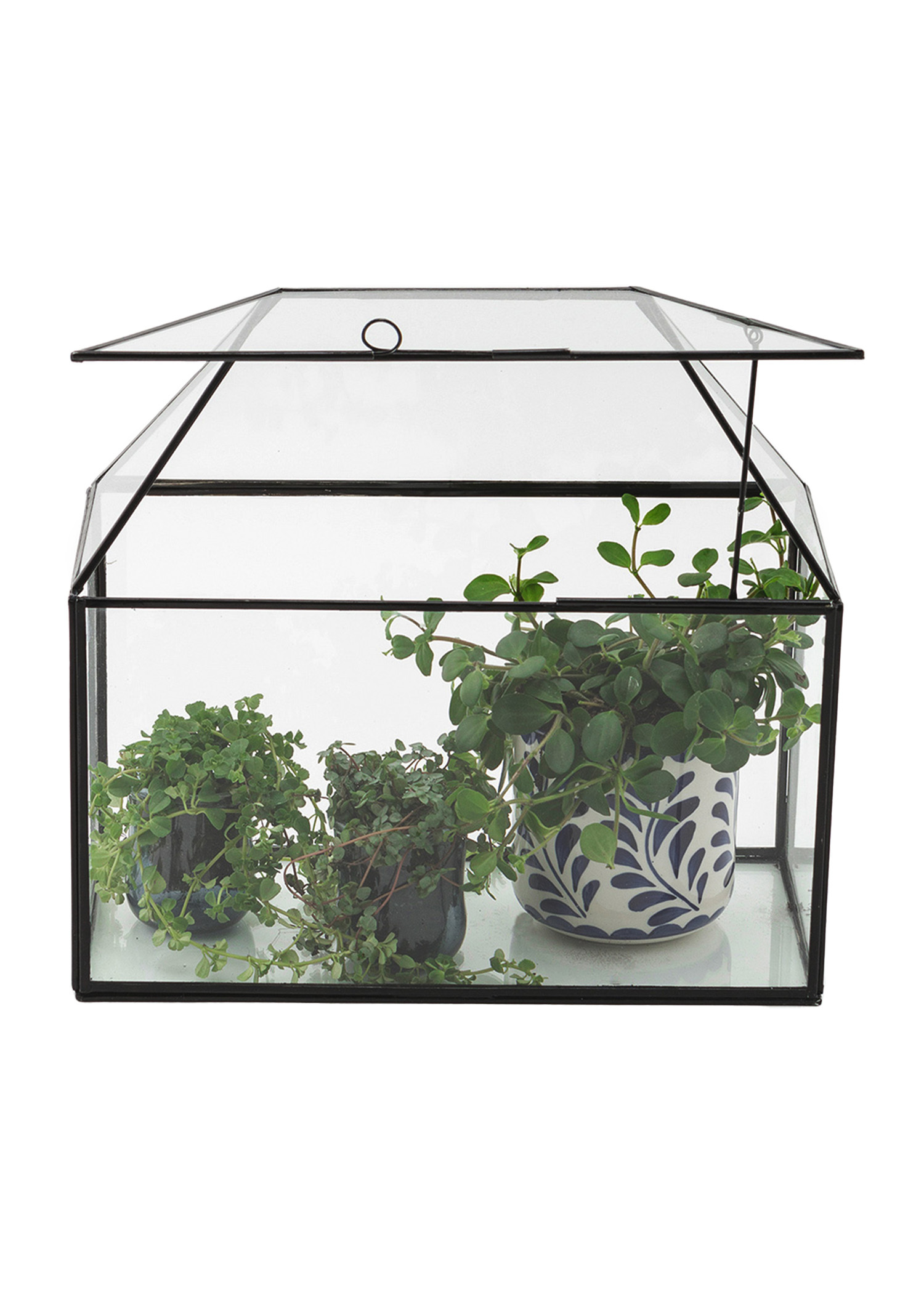 Indoor greenhouse Image 0