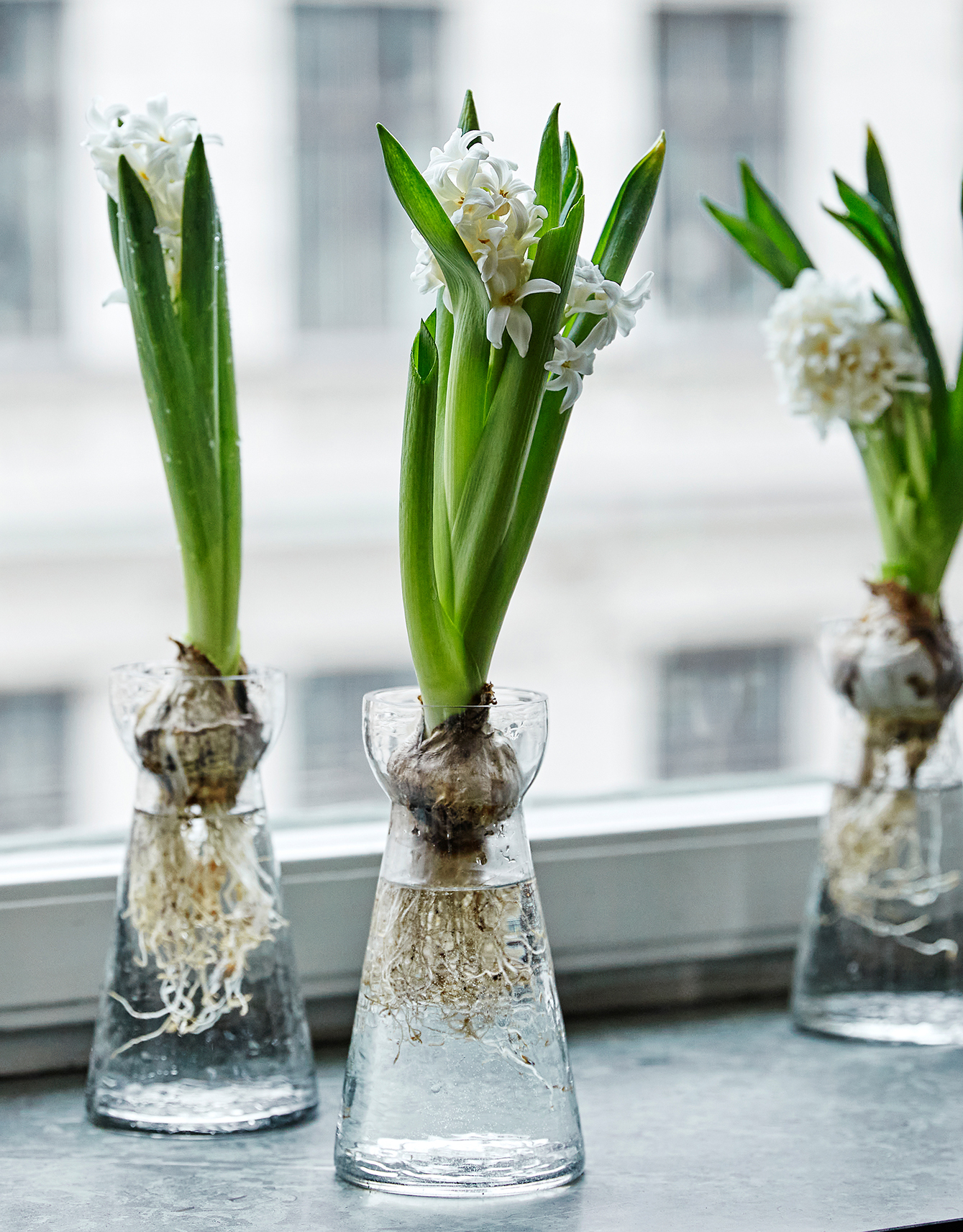 Hyacinth glass vase thumbnail 2