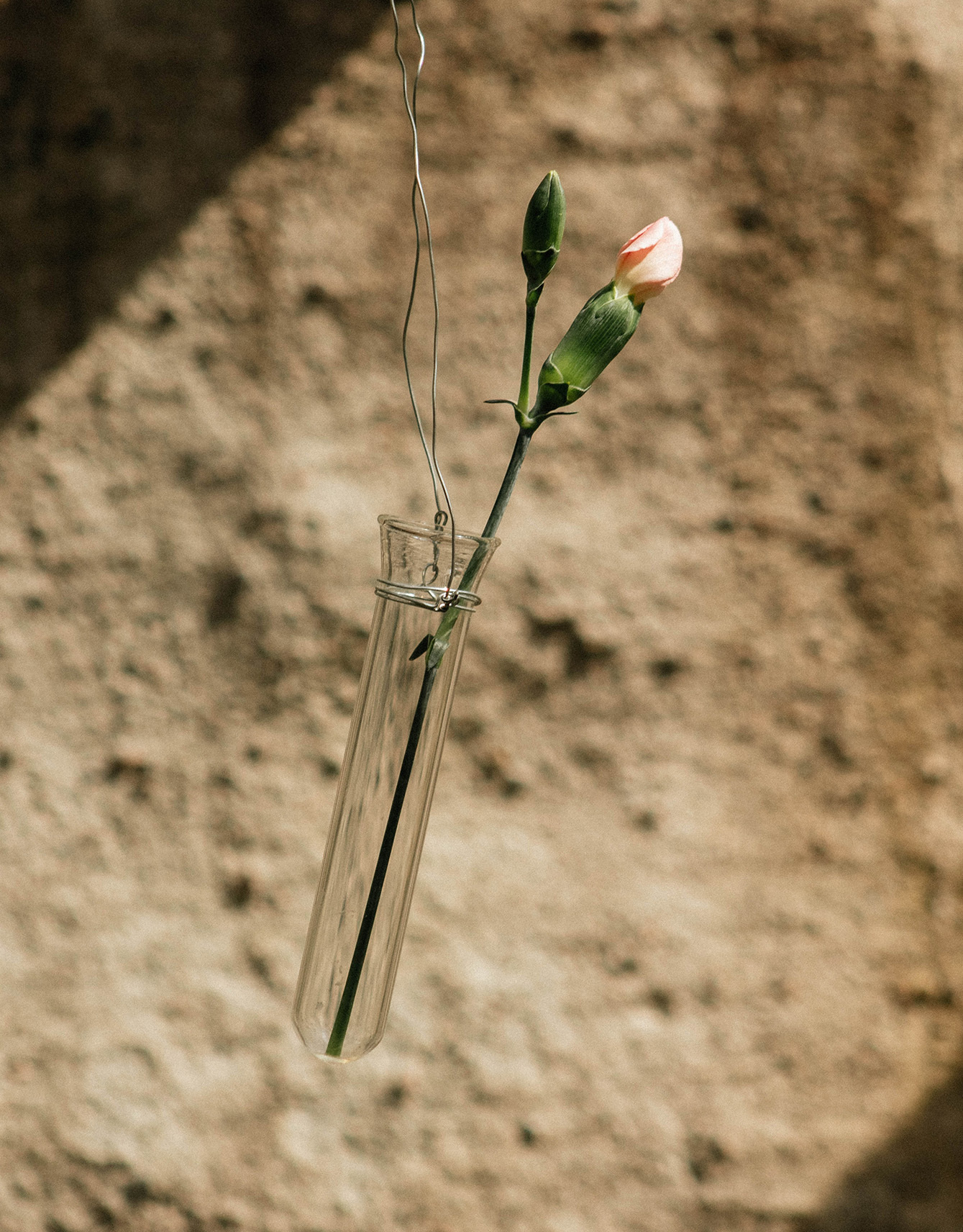 Small glass tube for cut flowers Image 0