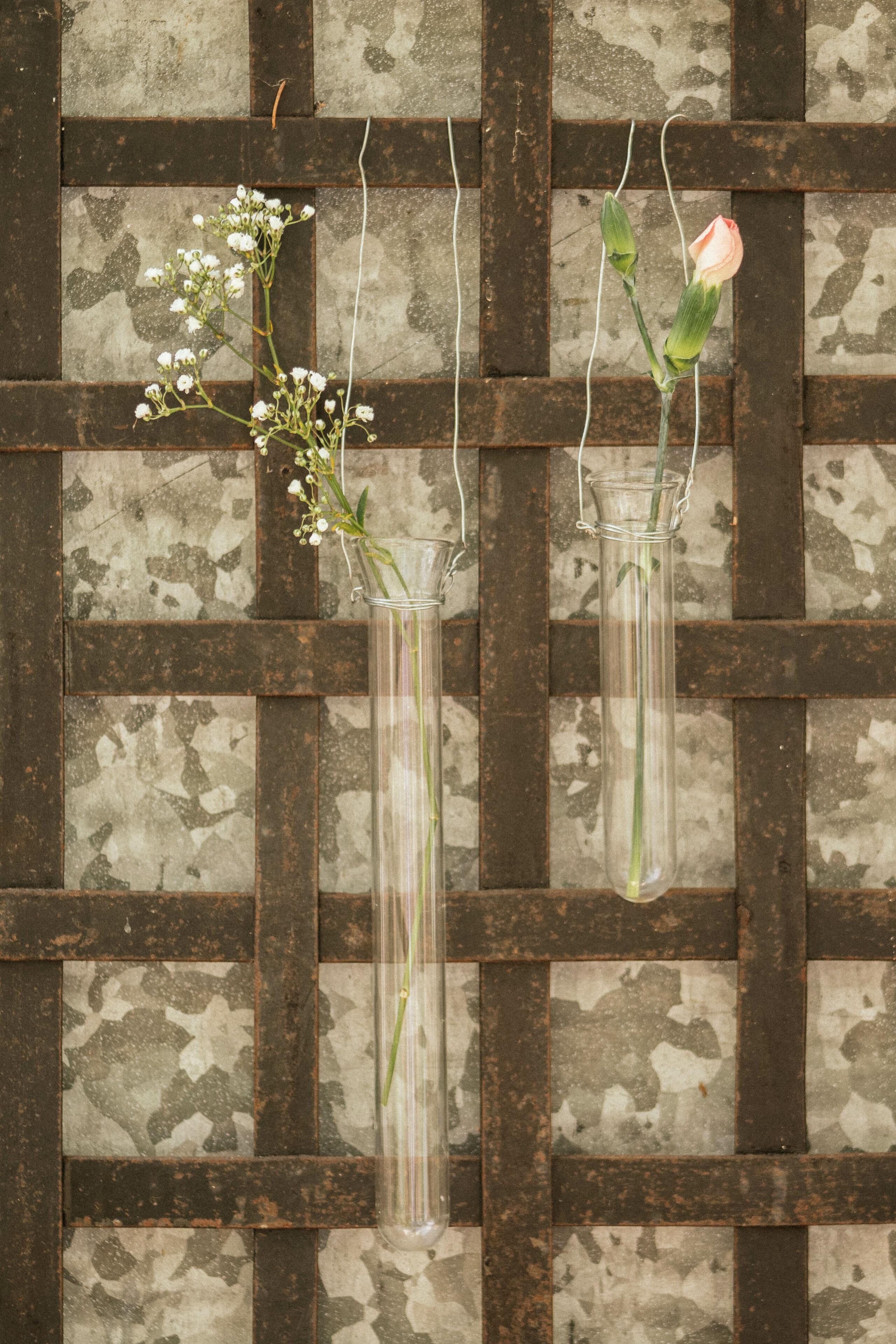 Stort glassrør for avskårne blomster Image 0